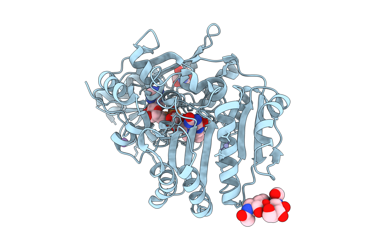 3RJ8 image