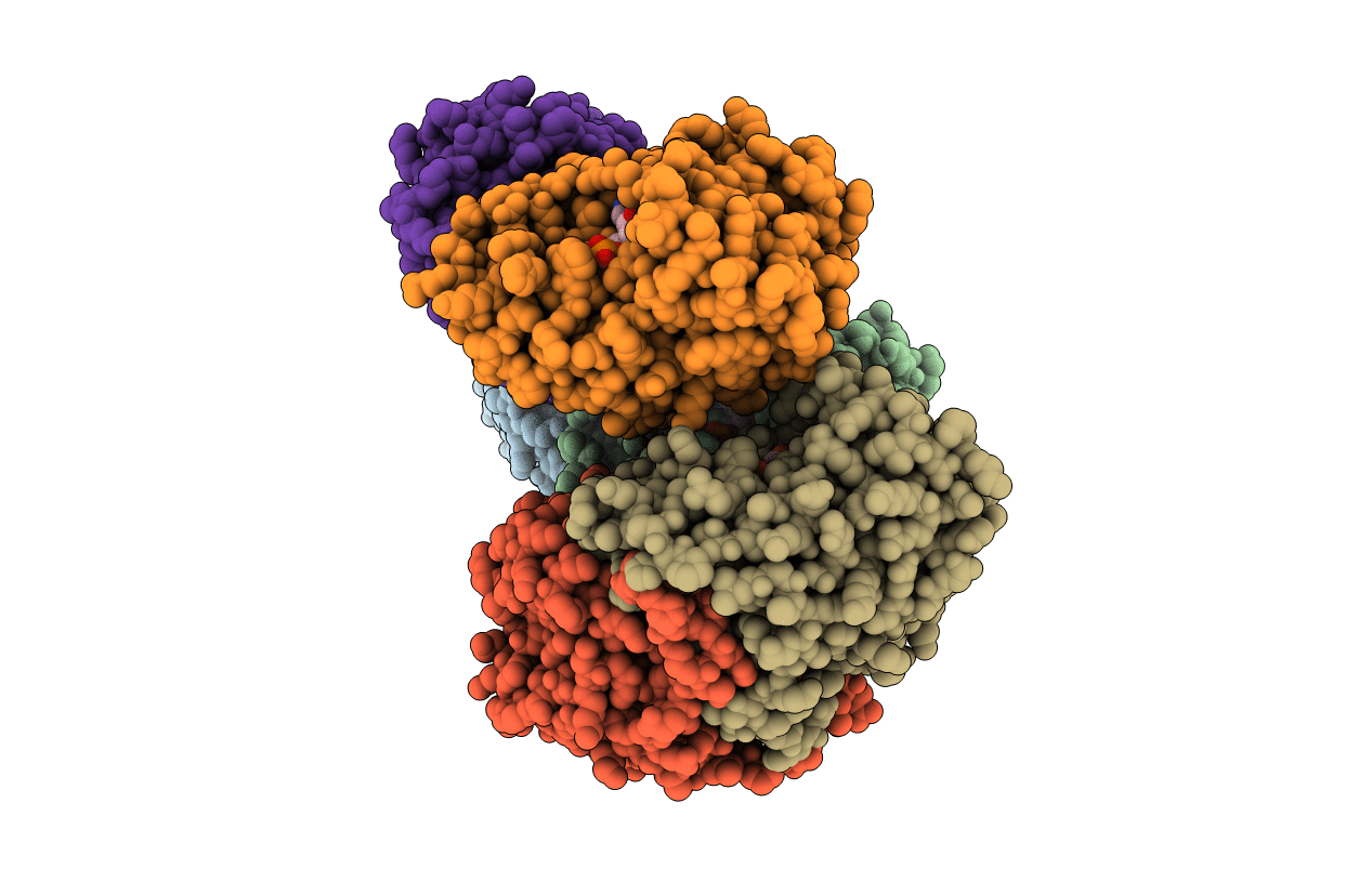 3RJ9 image
