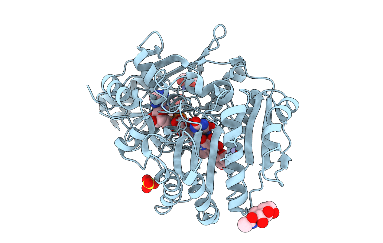 3RJA image