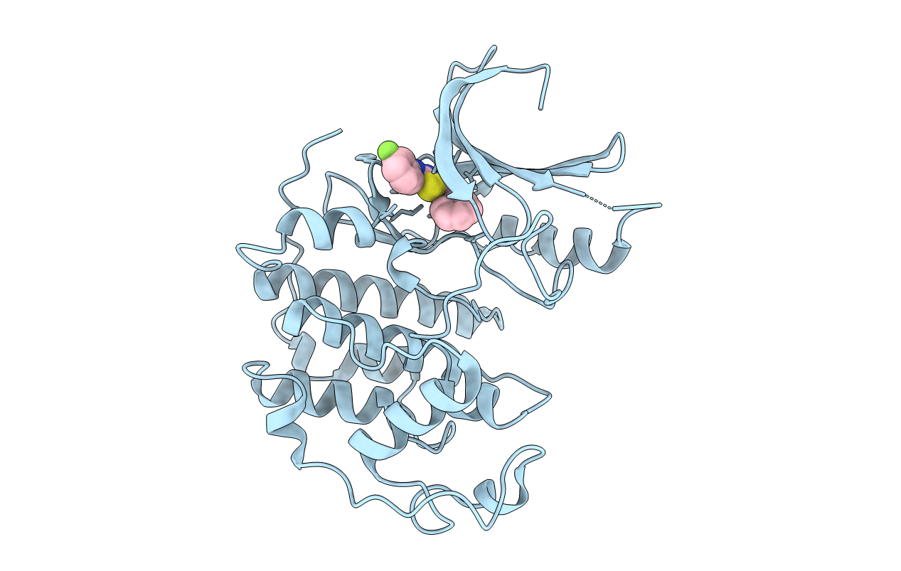 3RJC image