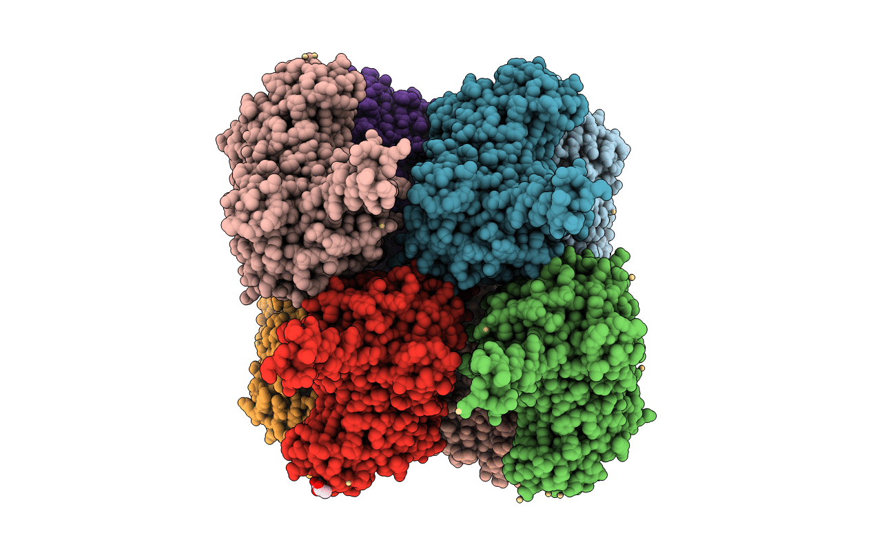 3RJL image