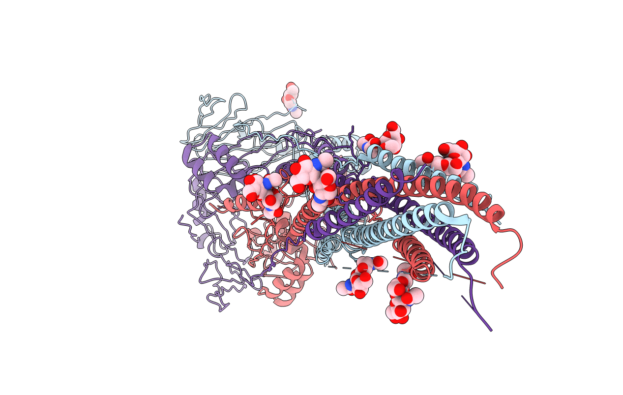 3RKI image