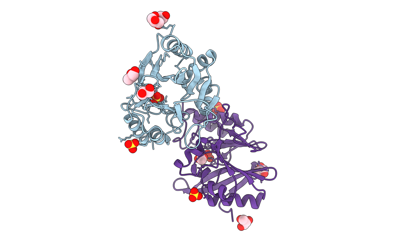 3RKK image