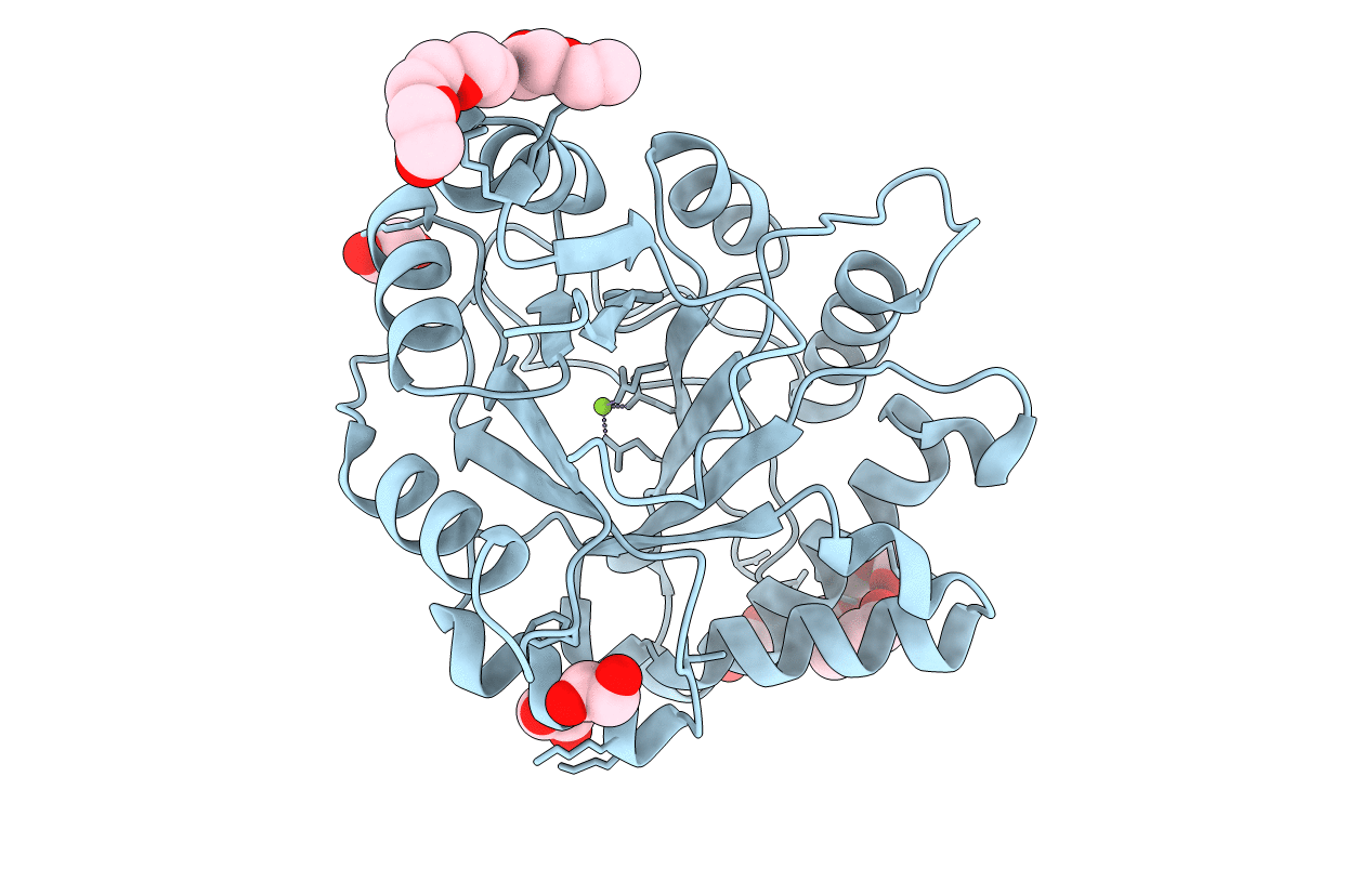 3RLG image