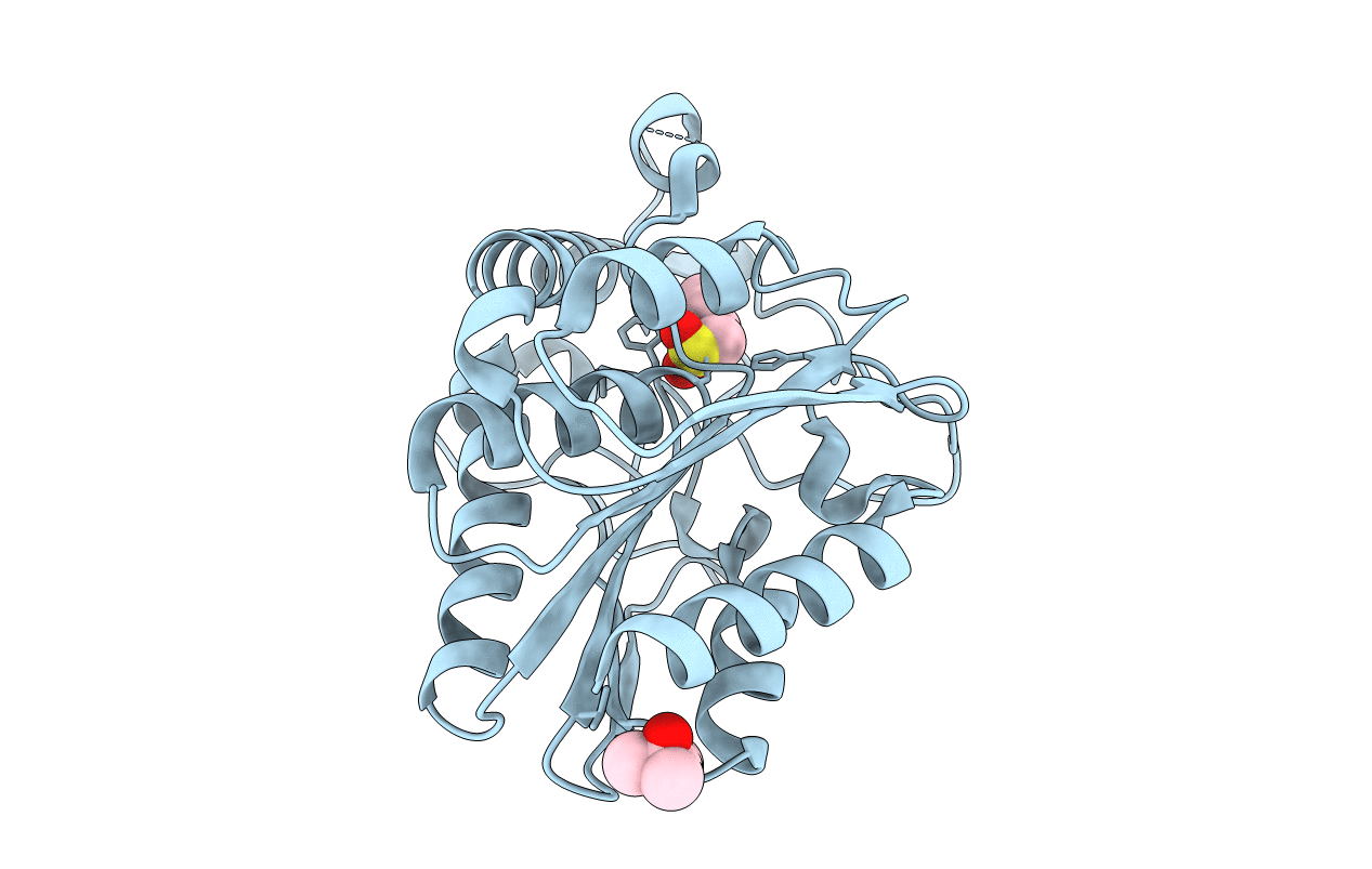 3RLI image
