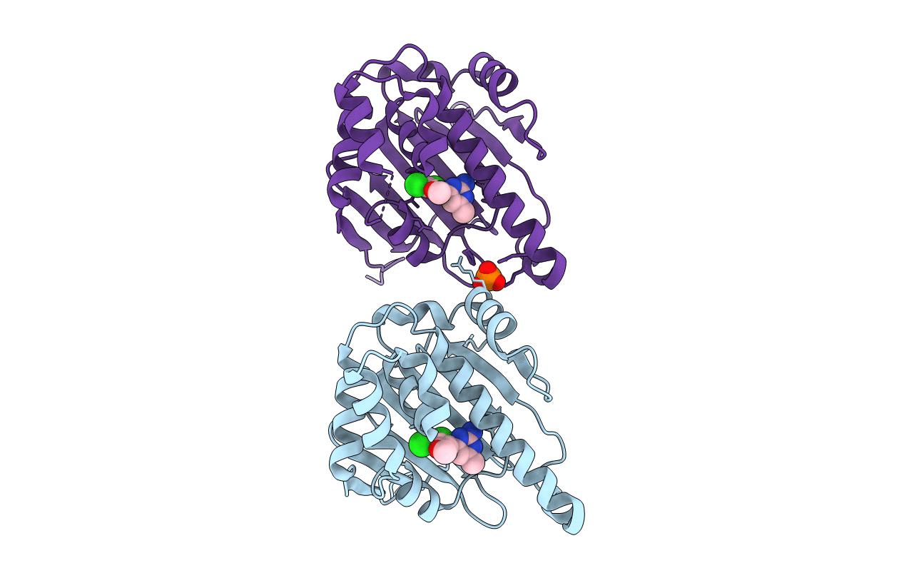 3RLP image