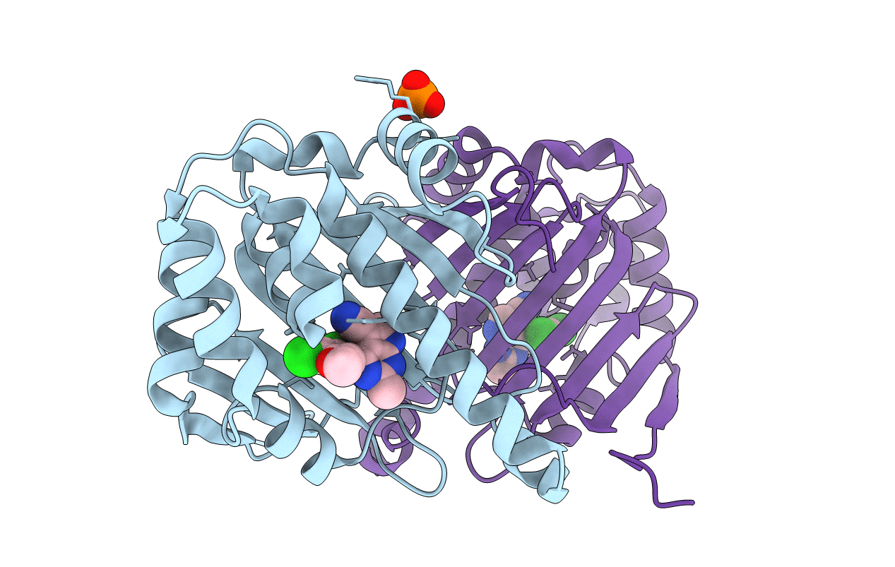 3RLQ image