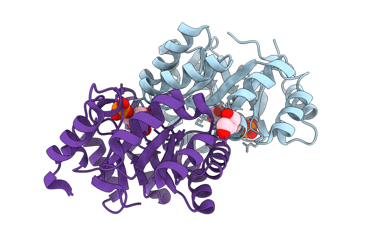 3RLV image