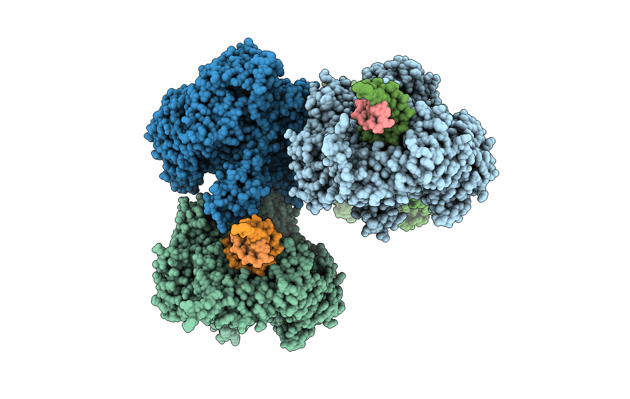 3RMA image