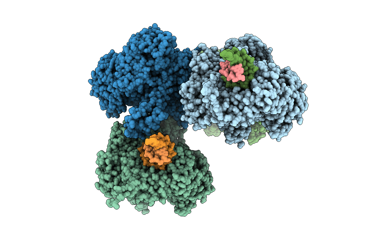 3RMC image