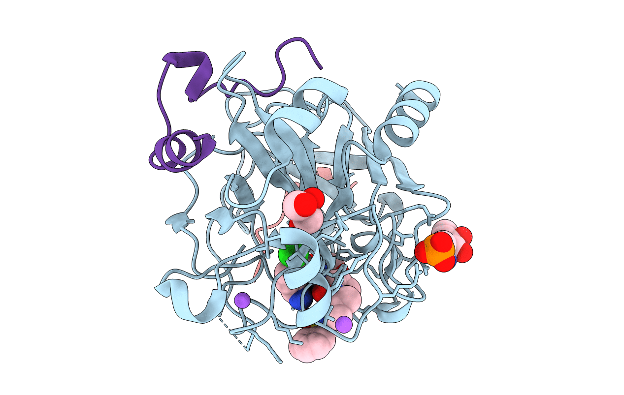 3RMN image