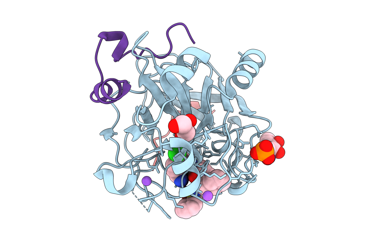 3RMO image
