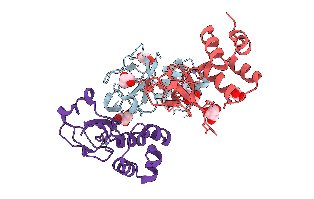 3RMS image