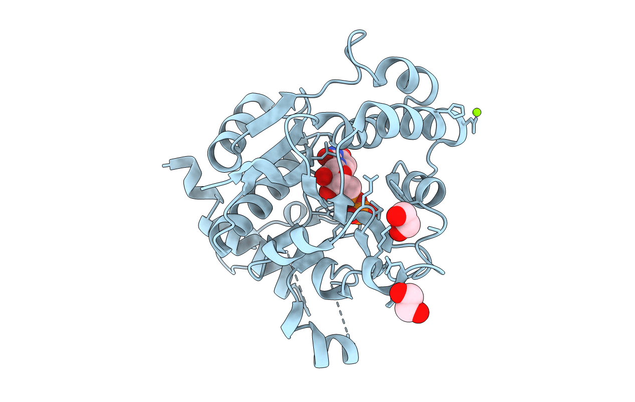 3RMV image