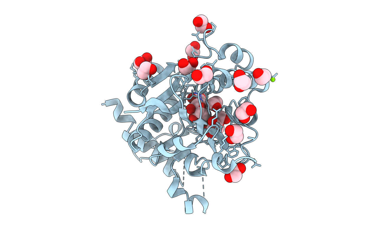 3RMW image