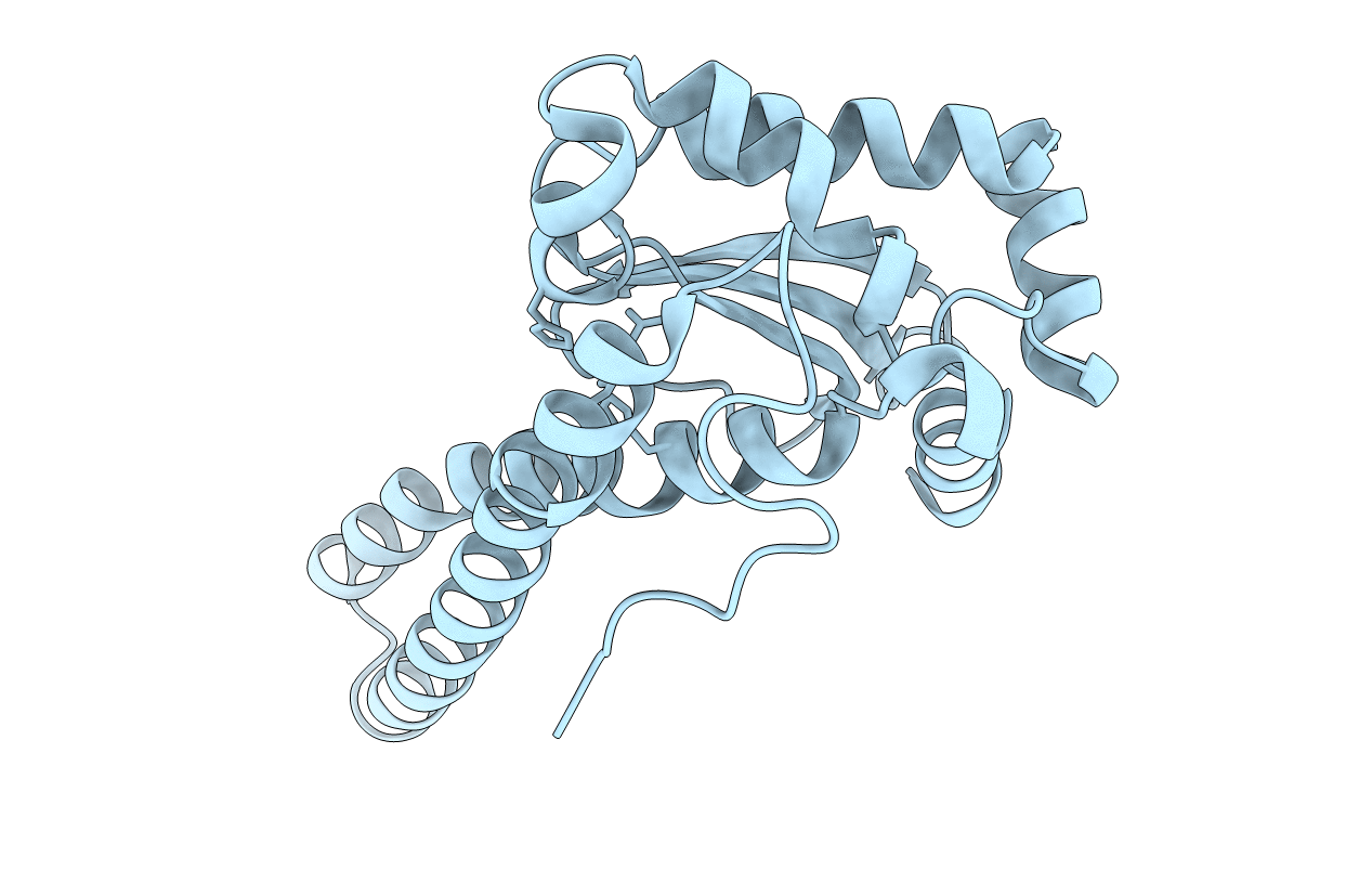 3RN4 image