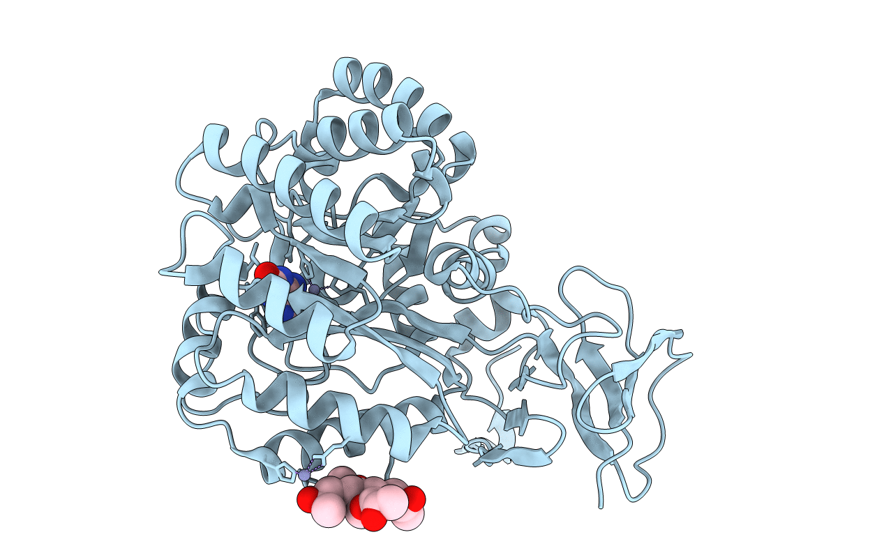 3RN6 image