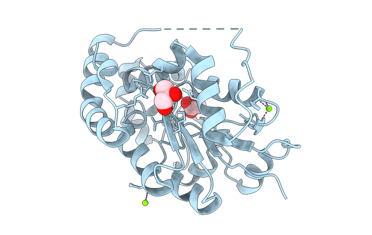 3RNL image