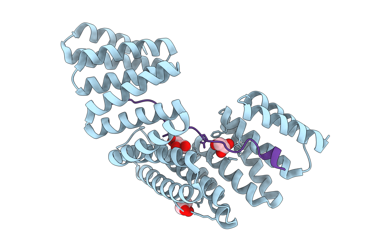 3RO2 image