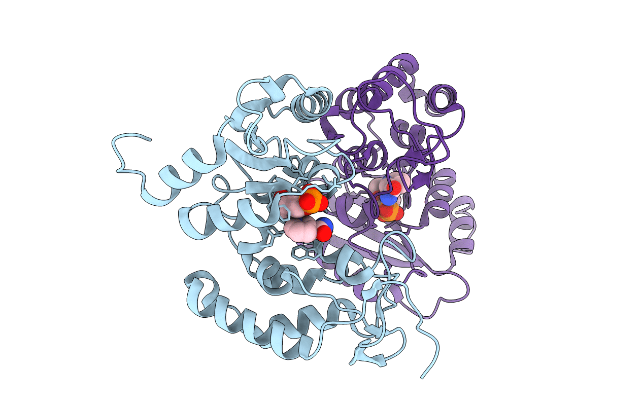 3ROP image