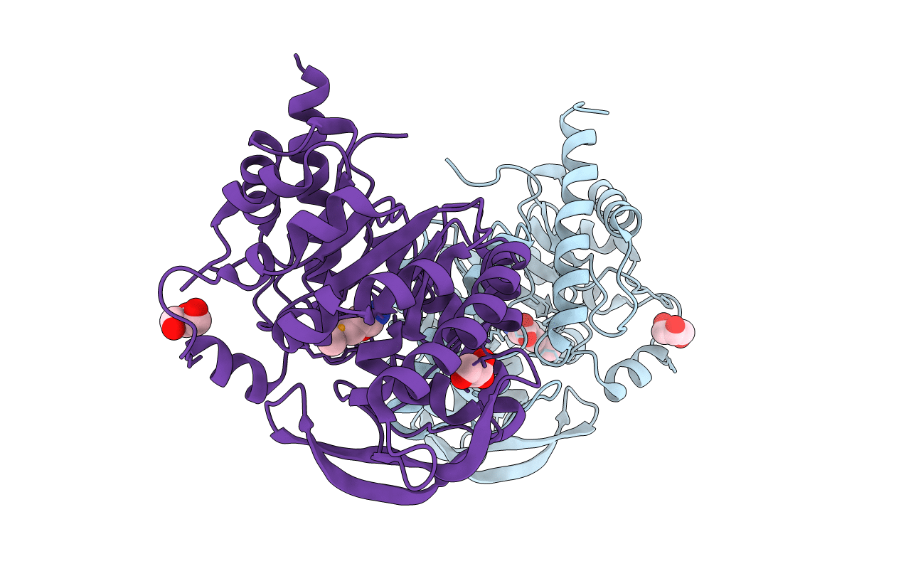 3RPD image