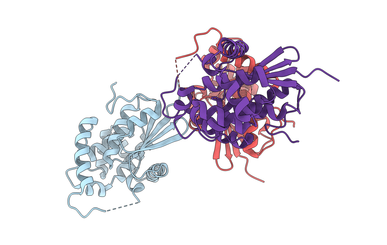3RPP image