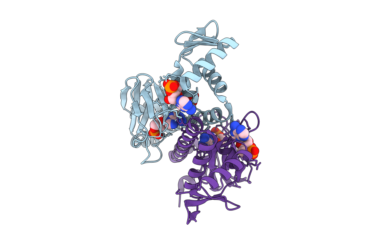 3RPQ image