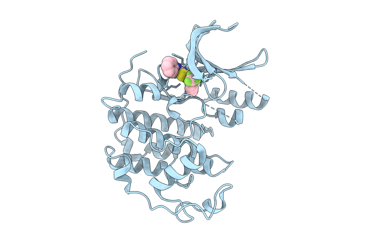 3RPR image