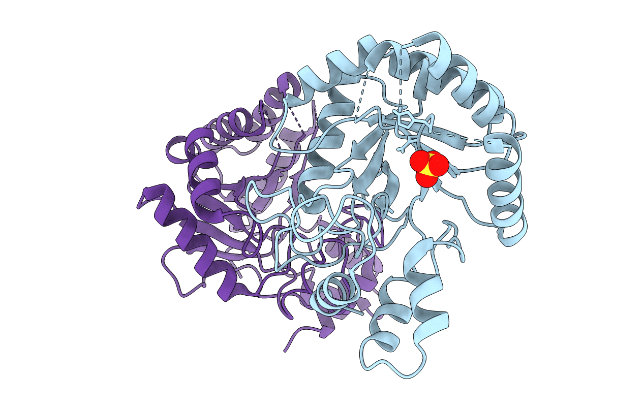 3RPT image