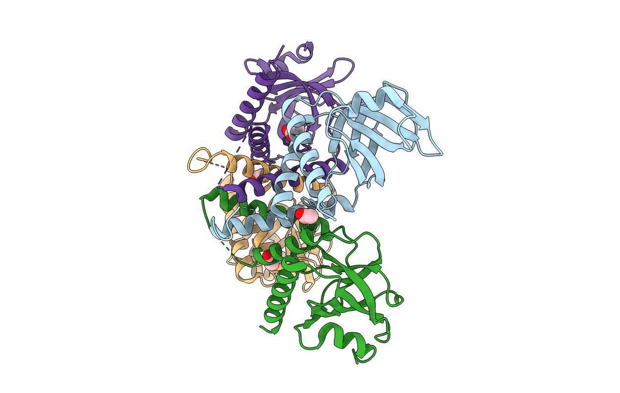 3RQA image
