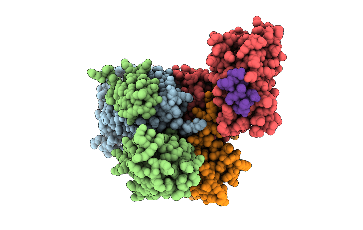 3RQE image