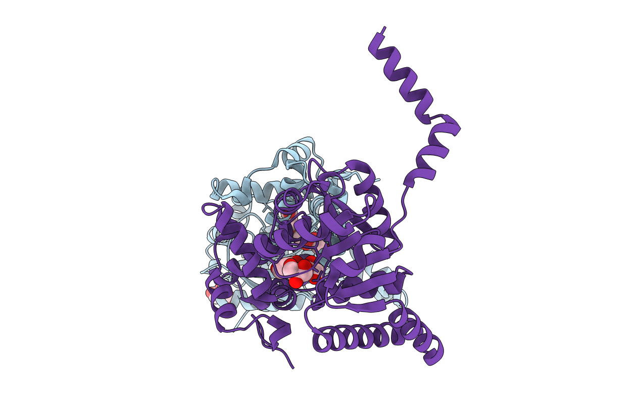 3RQS image