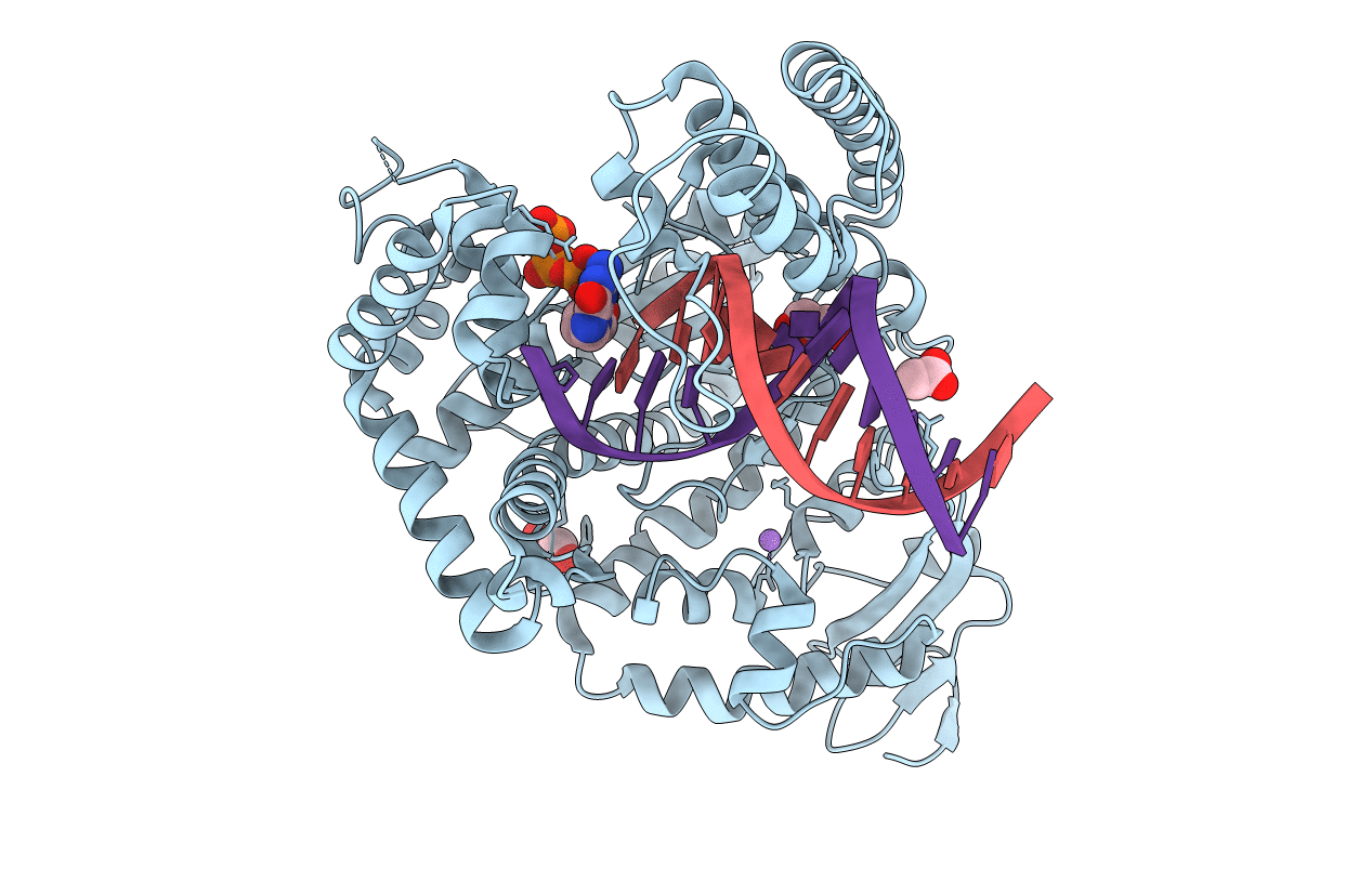 3RRG image