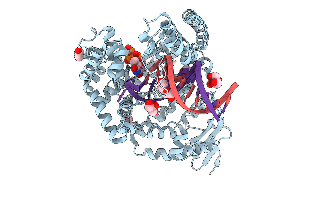 3RRH image