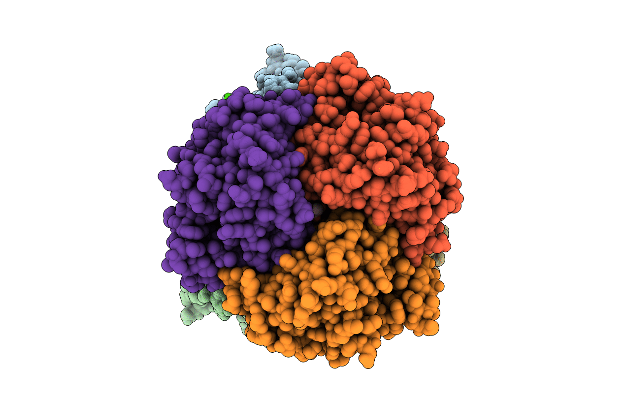 3RRV image