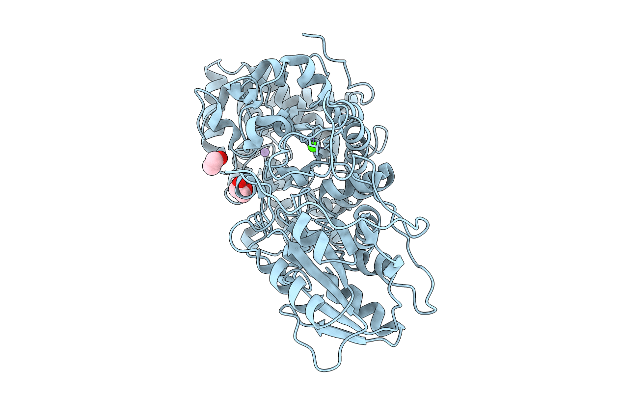 3RRX image