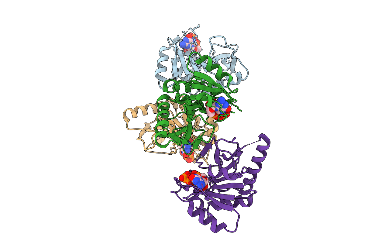 3RSB image