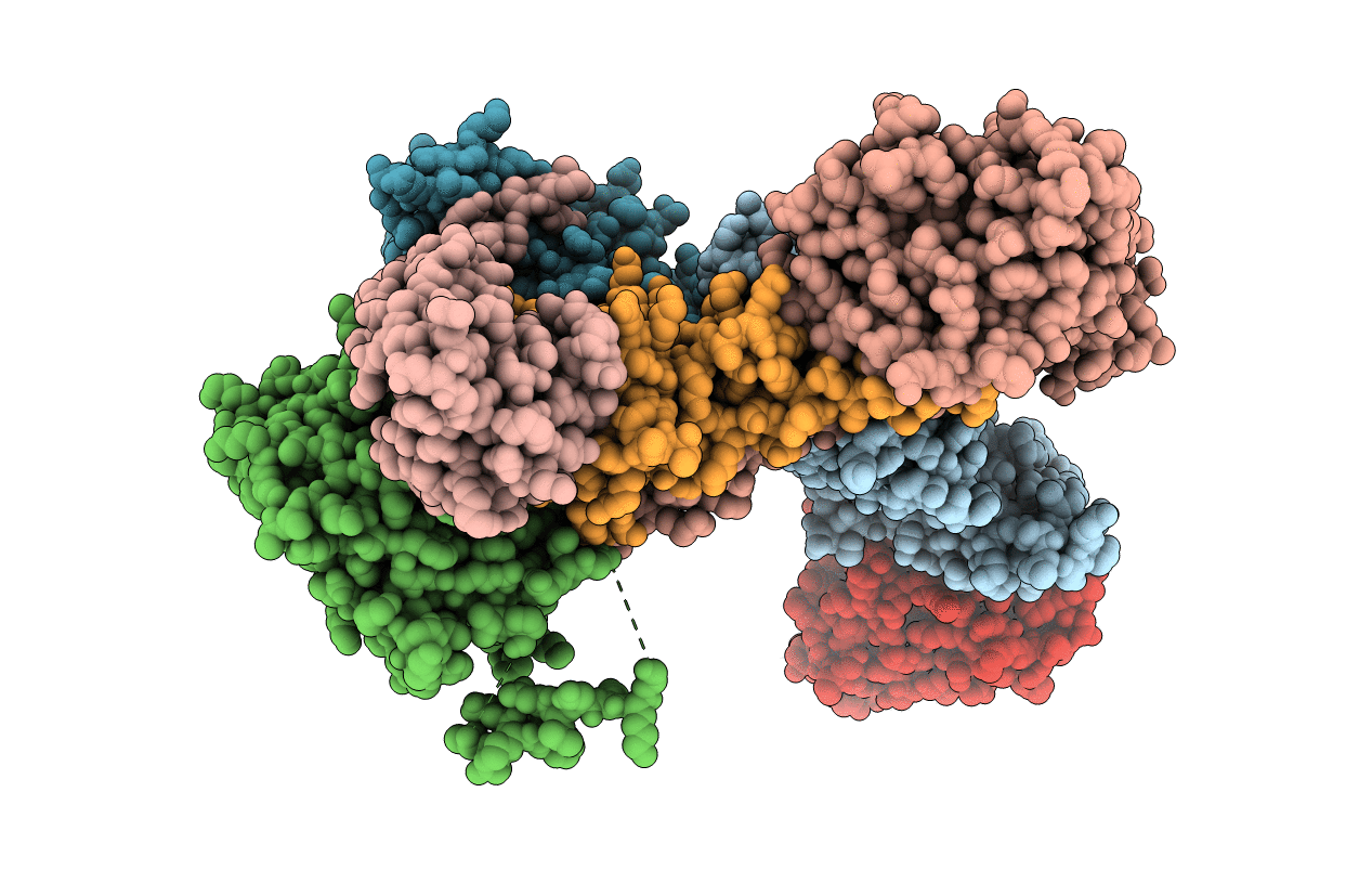 3RSE image