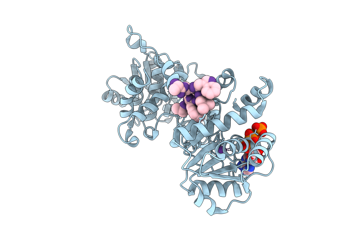 3RSF image