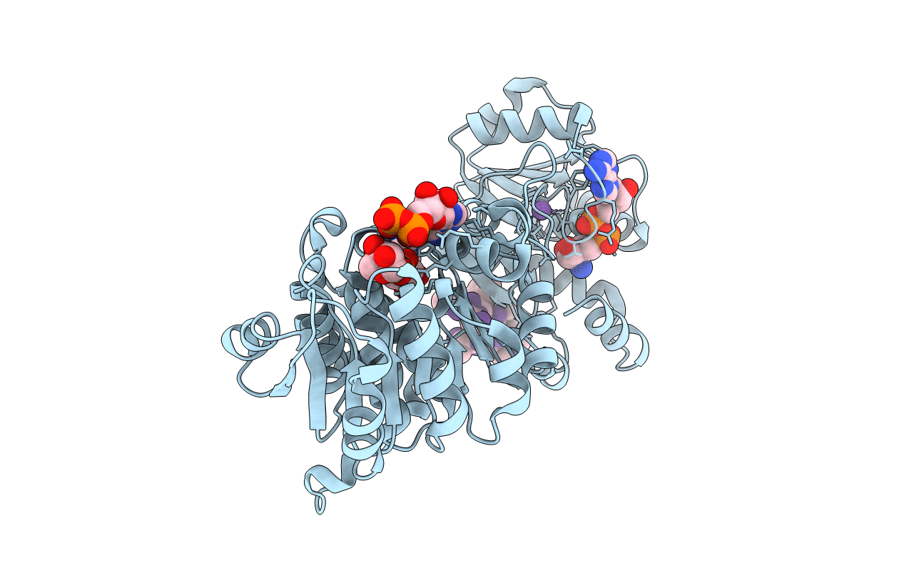 3RSG image