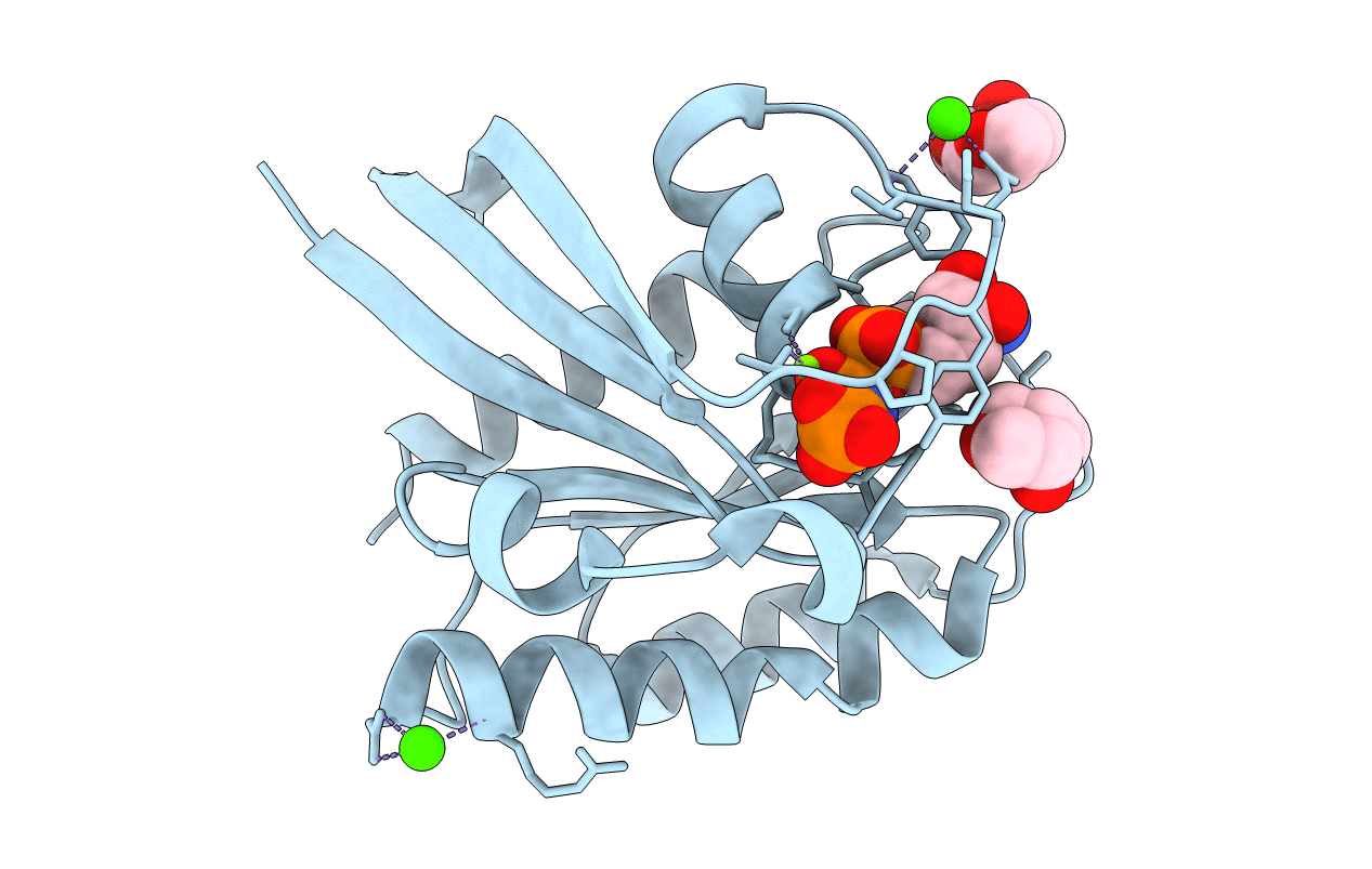 3RSO image