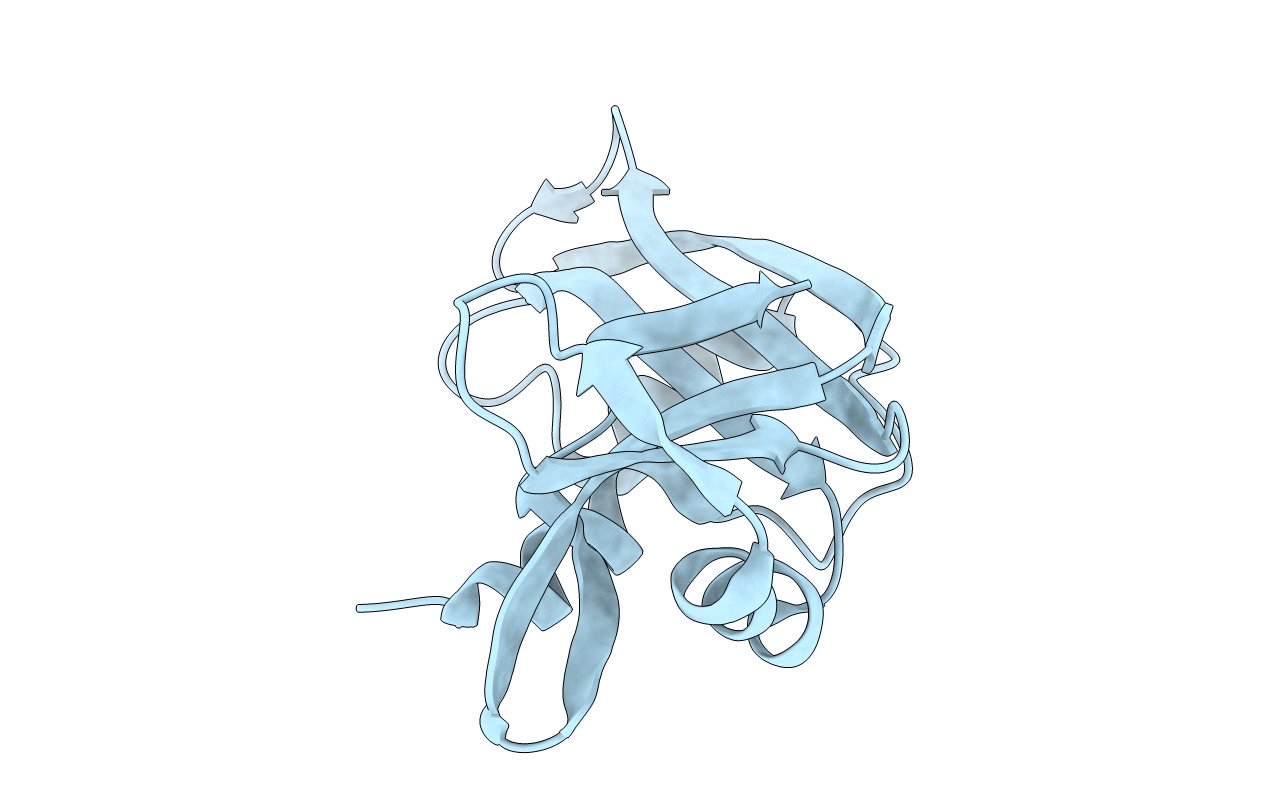 3RSP image