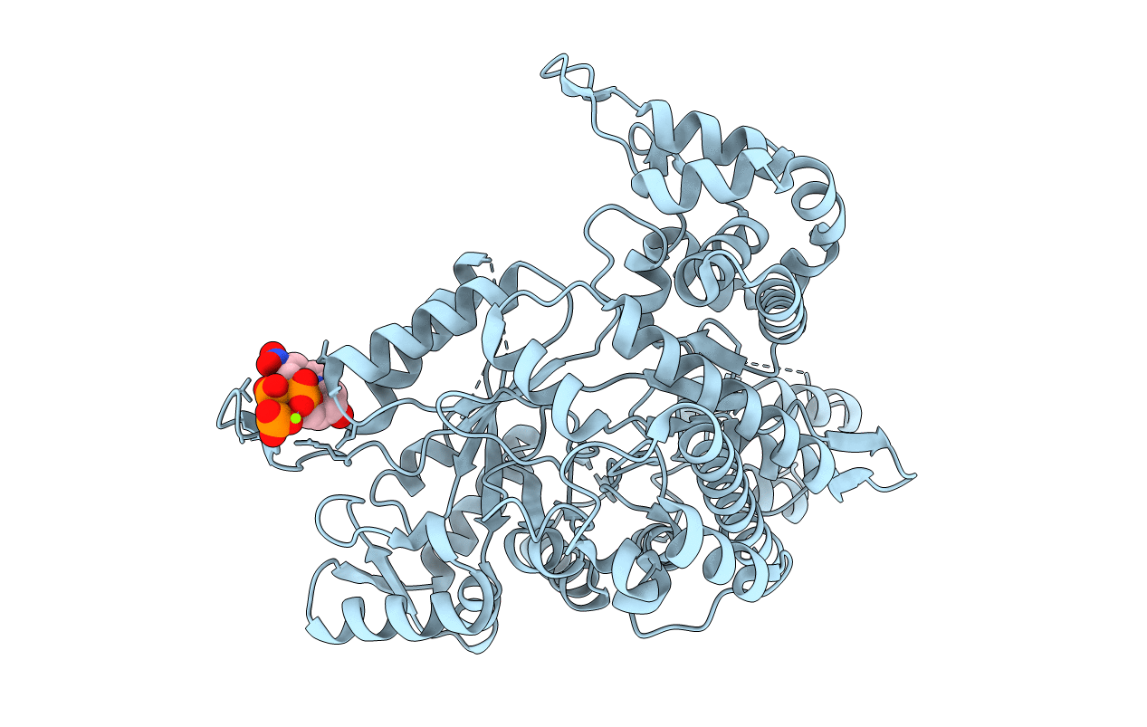 3RSR image
