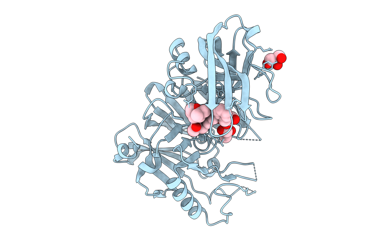 3RSV image