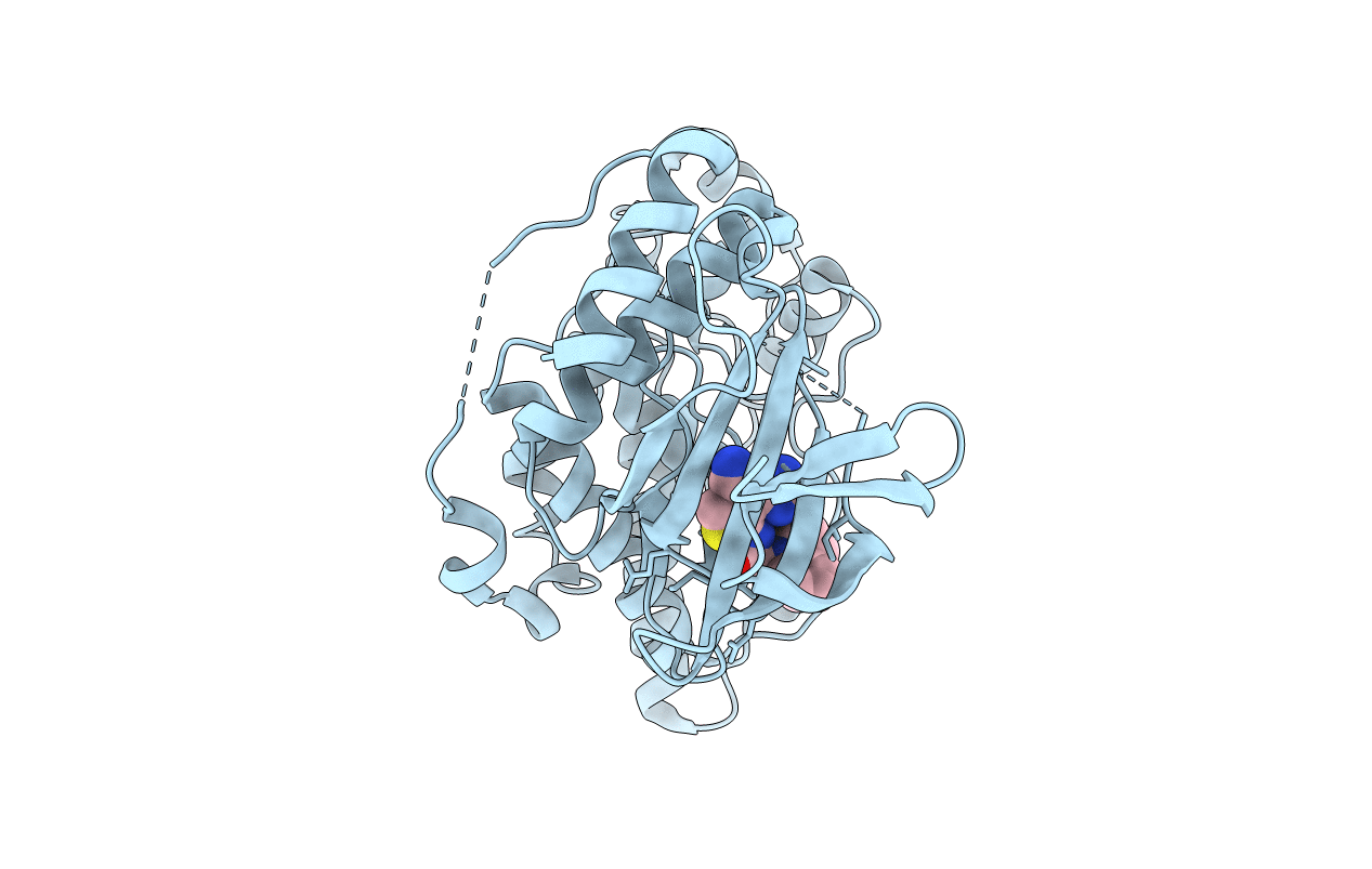 3RTP image