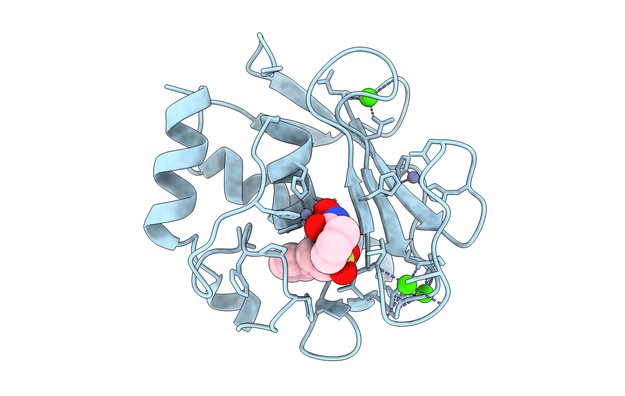 3RTT image