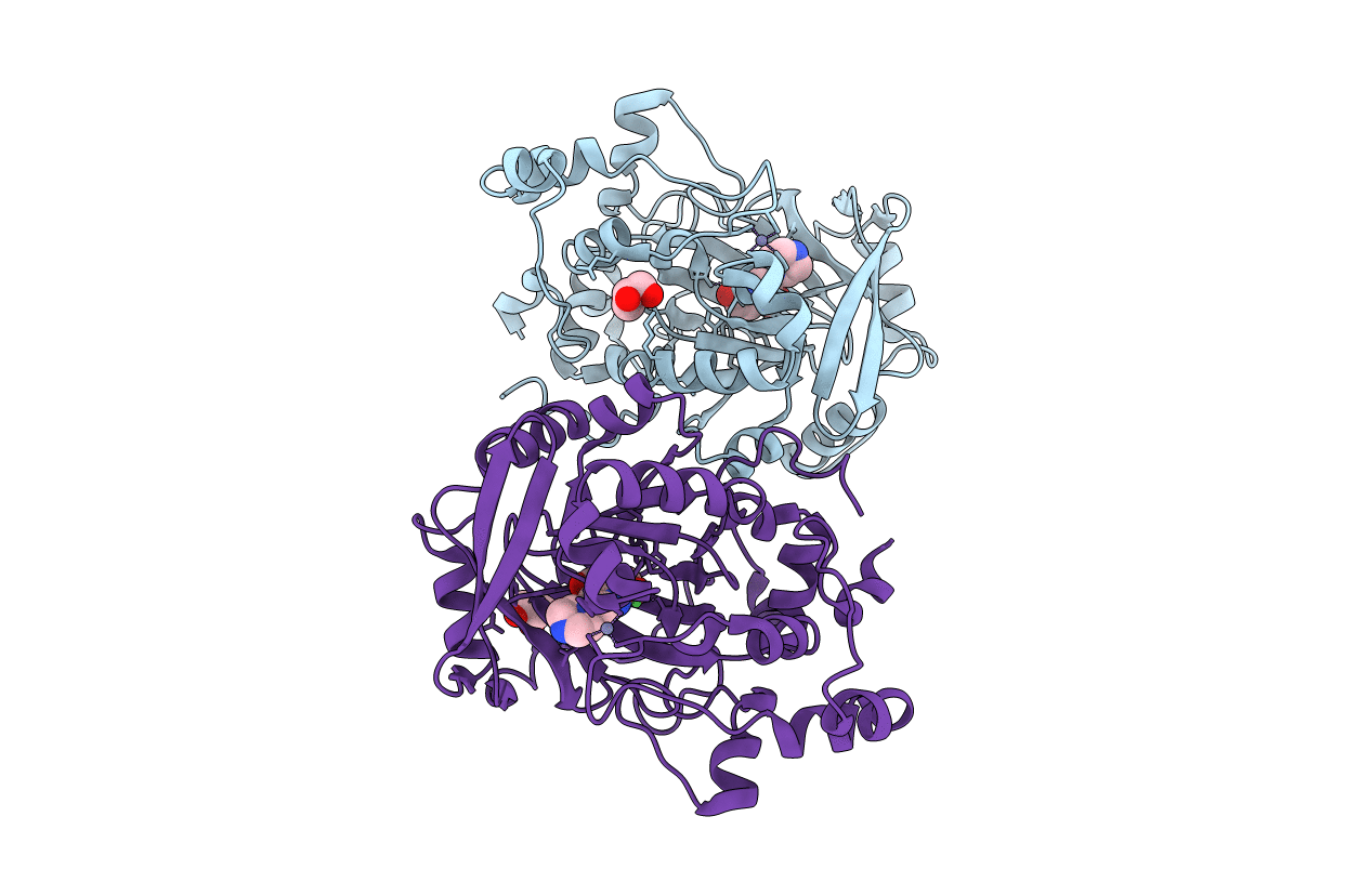 3RVH image