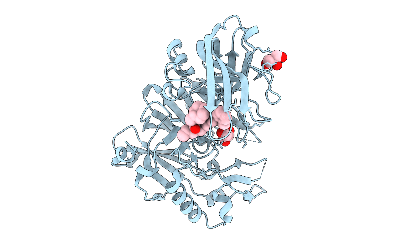 3RVI image