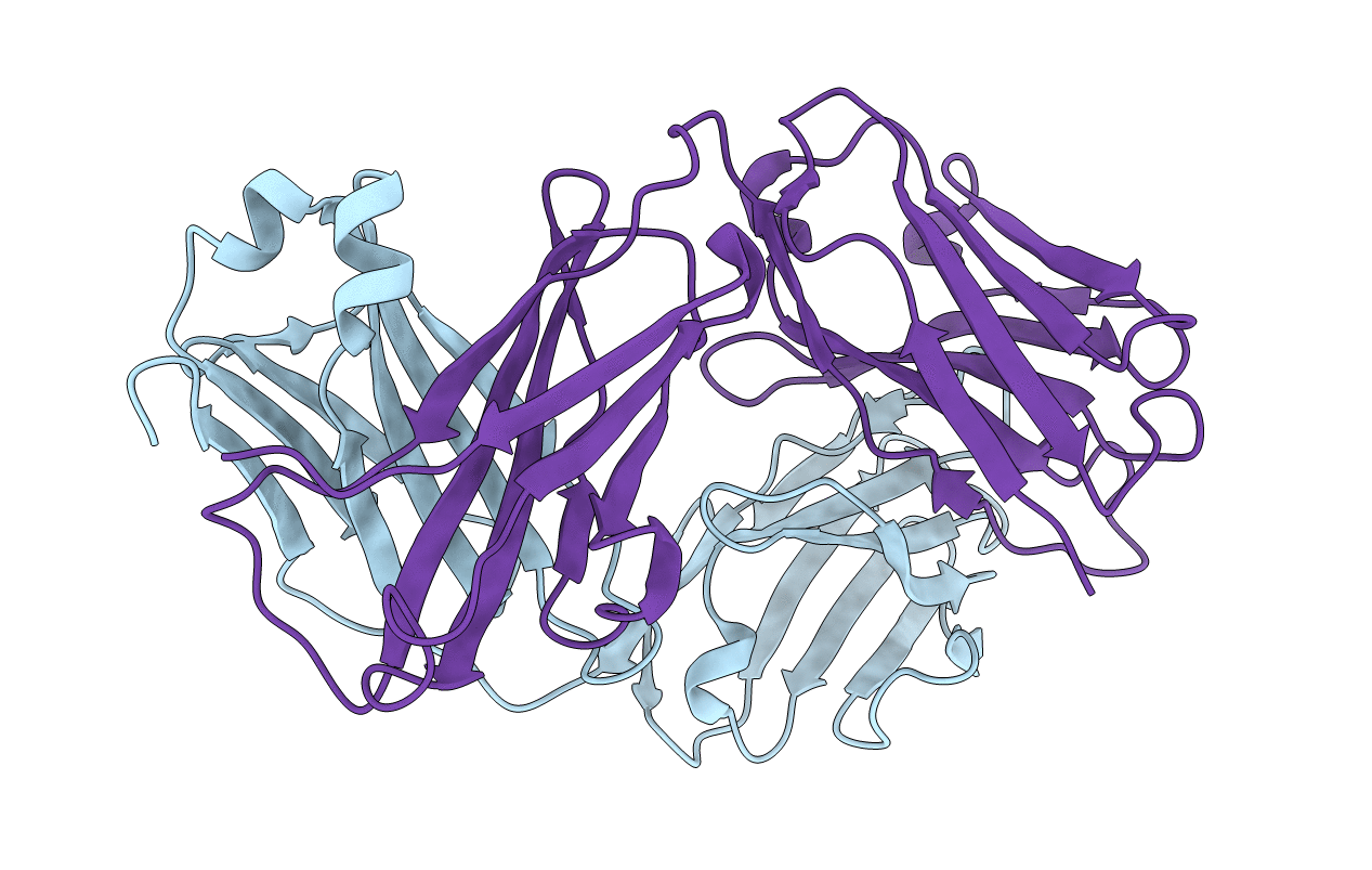 3RVT image