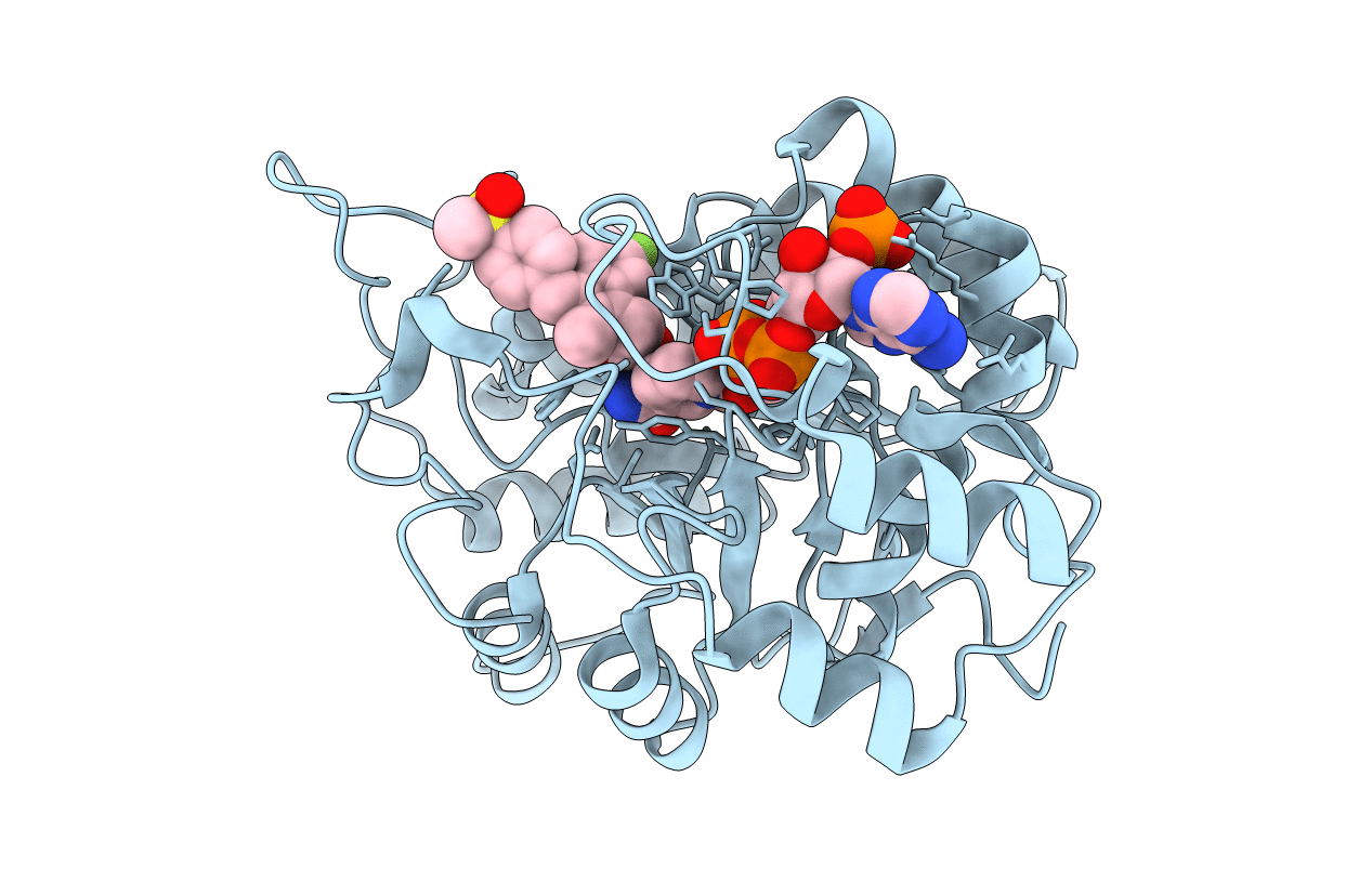 3RX3 image